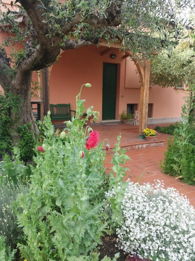 Villa Giuliana วิกอนซา ภายนอก รูปภาพ